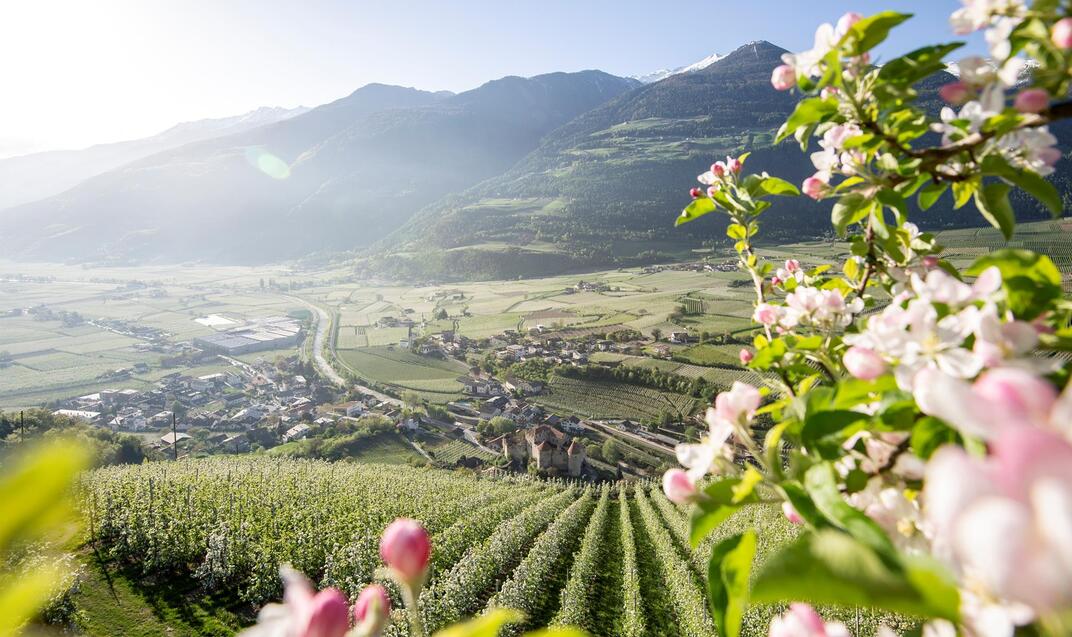 Camping im Vinschgau: Finde gleich Deinen Campingplatz