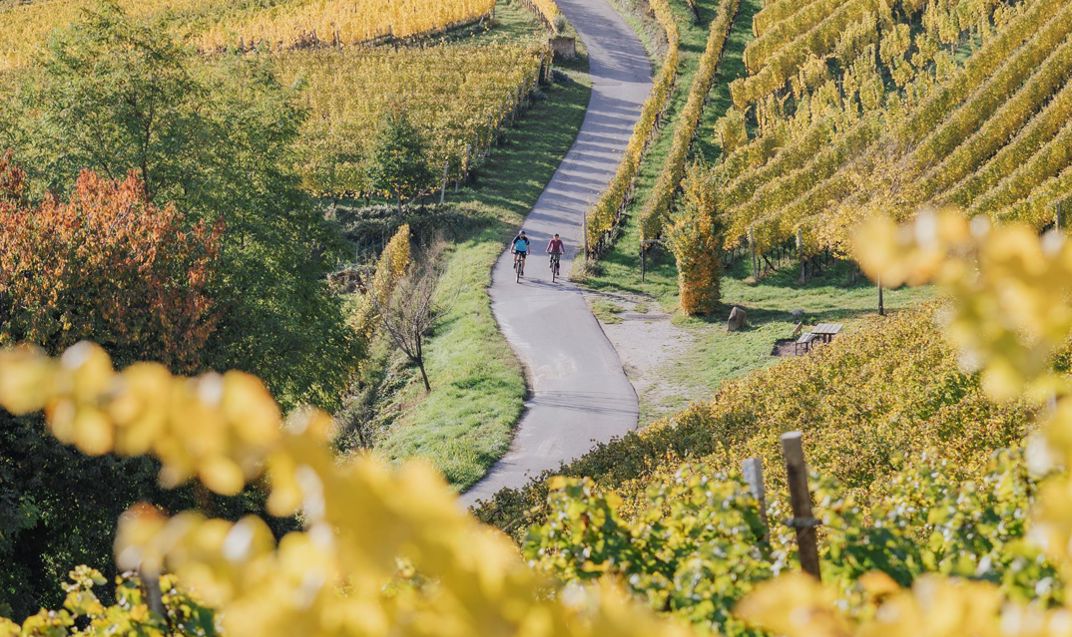 herbst-biken-weinstrasse-südtirols-süden-itm01thomo