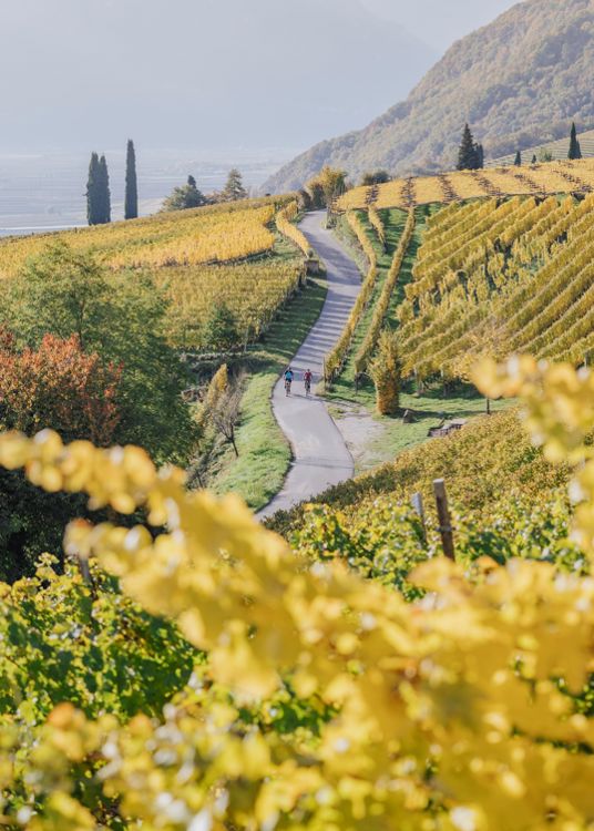 herbst-biken-weinstrasse-südtirols-süden-itm01thomo