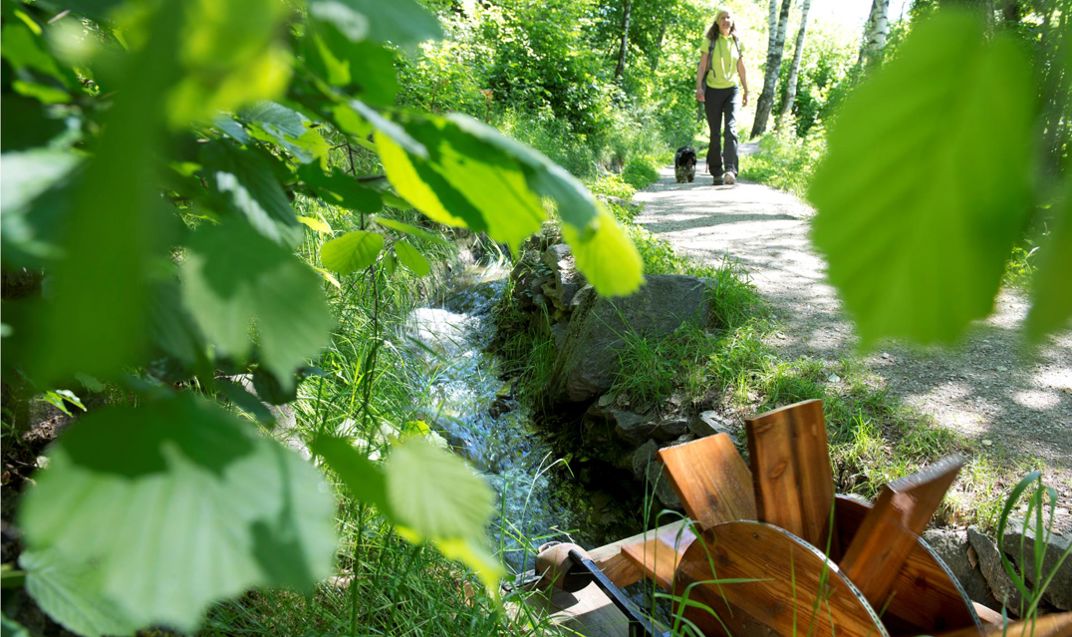 sommer-wandern-waalwege-partschins-vinschgau-idm00692heri