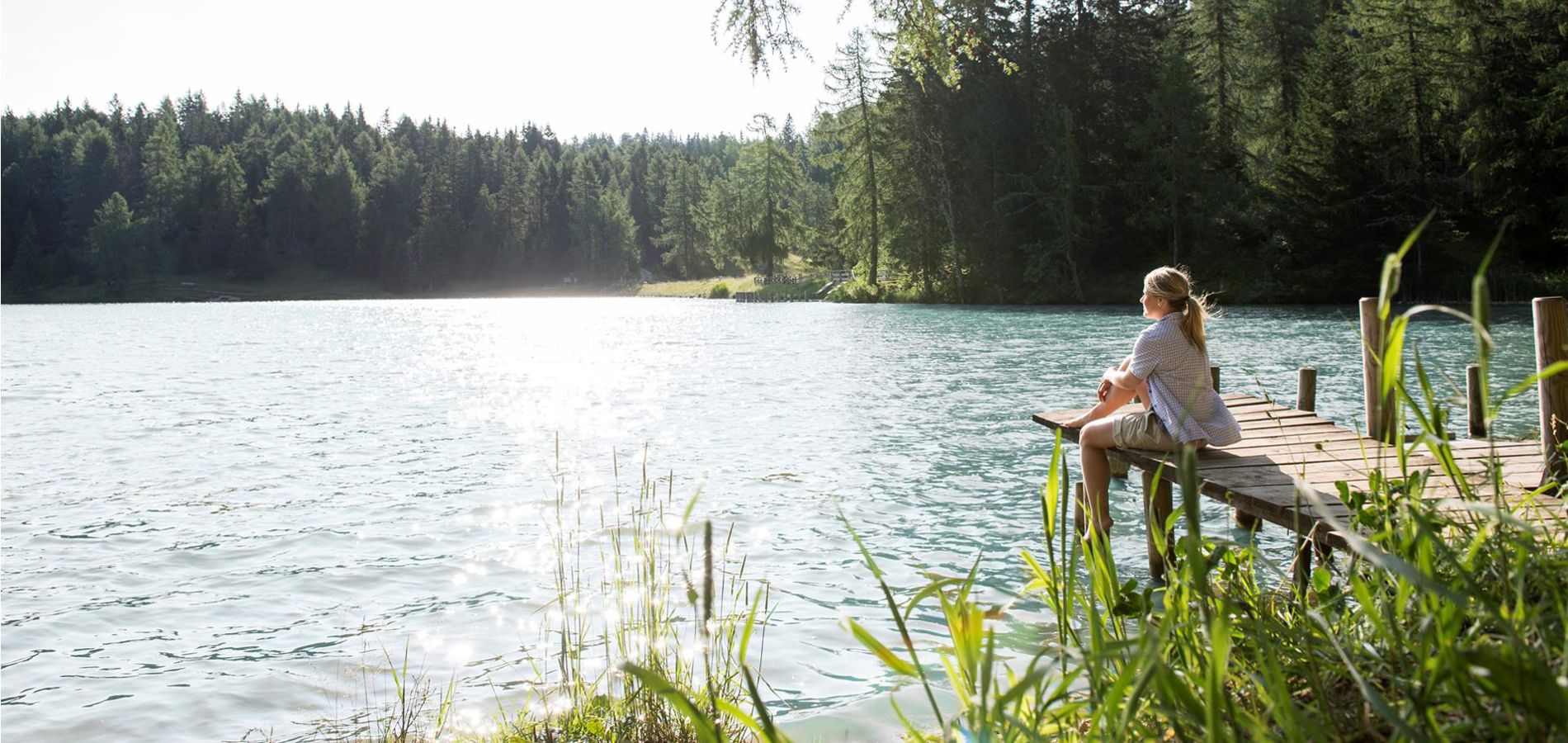 sommer-see-felixer-weiher-deutschnonsberg-mgm01702alfi