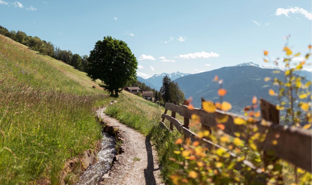 herbst-wandern-schenner-waalweg-idm20pasc