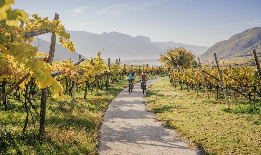 herbst-biken-weinstrasse-südtirols-süden-itm02thomo